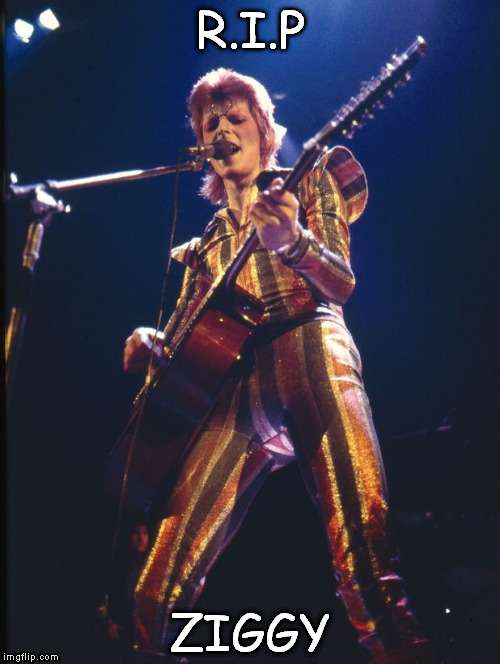 rip | R.I.P ZIGGY | image tagged in david bowie | made w/ Imgflip meme maker