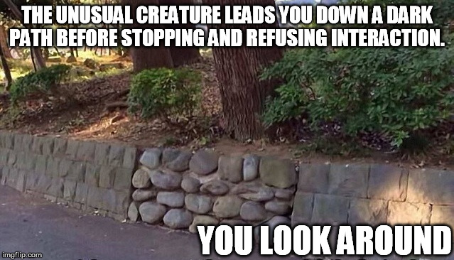 THE UNUSUAL CREATURE LEADS YOU DOWN A DARK PATH BEFORE STOPPING AND REFUSING INTERACTION. YOU LOOK AROUND | made w/ Imgflip meme maker