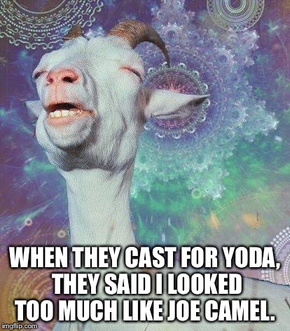 Space Goat | WHEN THEY CAST FOR YODA, THEY SAID I LOOKED TOO MUCH LIKE JOE CAMEL. | image tagged in space goat | made w/ Imgflip meme maker