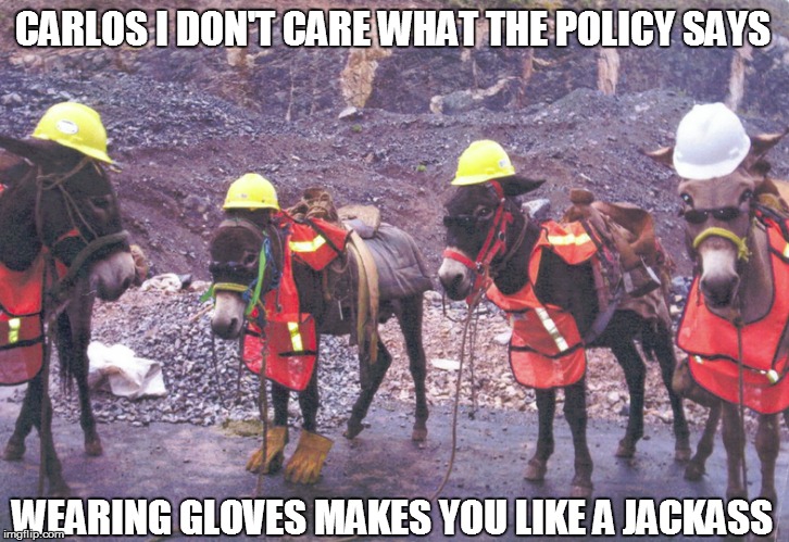 CARLOS I DON'T CARE WHAT THE POLICY SAYS WEARING GLOVES MAKES YOU LIKE A JACKASS | made w/ Imgflip meme maker