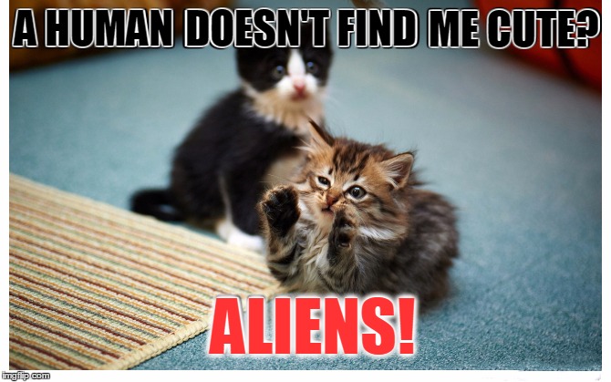 Cutest Alien Ever | A HUMAN ALIENS! DOESN'T FIND ME CUTE? | image tagged in memes,cutest alien ever,ancient aliens,cats,cute cat | made w/ Imgflip meme maker