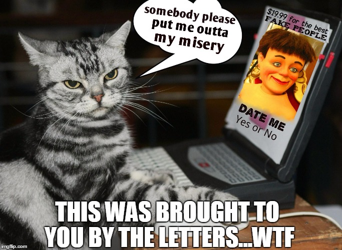 THIS WAS BROUGHT TO YOU BY THE LETTERS...WTF | image tagged in cat dates | made w/ Imgflip meme maker