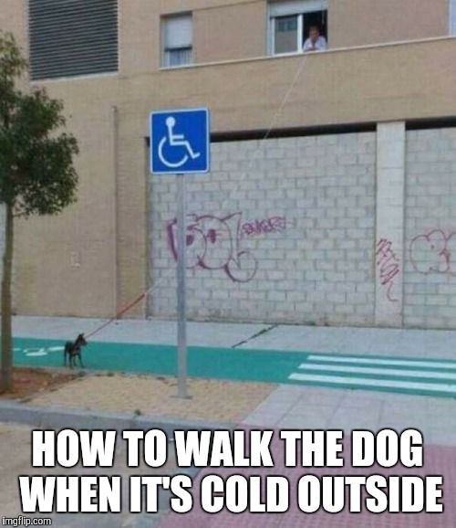 Walk the Dog | HOW TO WALK THE DOG WHEN IT'S COLD OUTSIDE | image tagged in dog,cold weather,walk | made w/ Imgflip meme maker