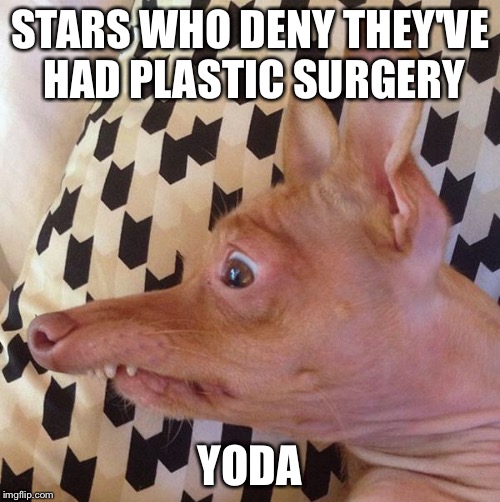 Phteven be like ... | STARS WHO DENY THEY'VE HAD PLASTIC SURGERY YODA | image tagged in phteven be like | made w/ Imgflip meme maker