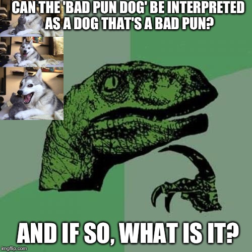 Philosoraptor | CAN THE 'BAD PUN DOG' BE INTERPRETED AS A DOG THAT'S A BAD PUN? AND IF SO, WHAT IS IT? | image tagged in memes,philosoraptor | made w/ Imgflip meme maker