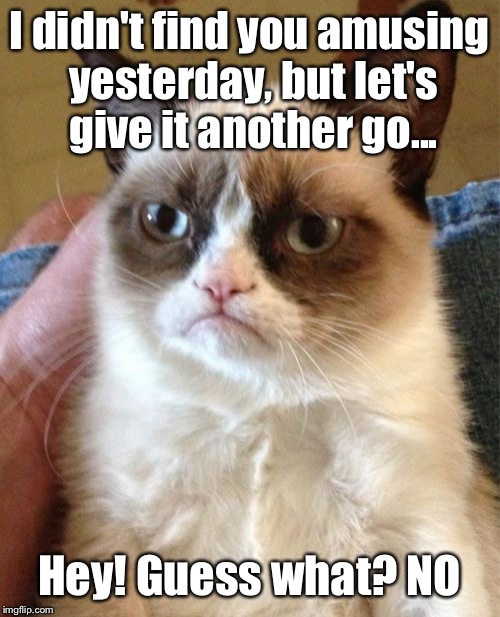 Grumpy Cat | I didn't find you amusing yesterday, but let's give it another go... Hey! Guess what? NO | image tagged in memes,grumpy cat | made w/ Imgflip meme maker