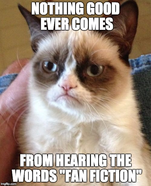 Grumpy Cat Meme | NOTHING GOOD EVER COMES FROM HEARING THE WORDS "FAN FICTION" | image tagged in memes,grumpy cat | made w/ Imgflip meme maker