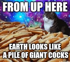 space cats and hot dogs | FROM UP HERE EARTH LOOKS LIKE A PILE OF GIANT COCKS | image tagged in space cats and hot dogs | made w/ Imgflip meme maker