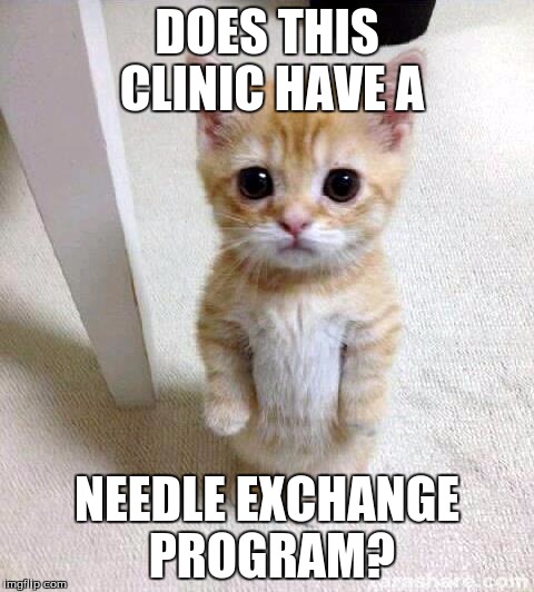 Cute Cat Meme | DOES THIS CLINIC HAVE A NEEDLE EXCHANGE PROGRAM? | image tagged in memes,cute cat | made w/ Imgflip meme maker