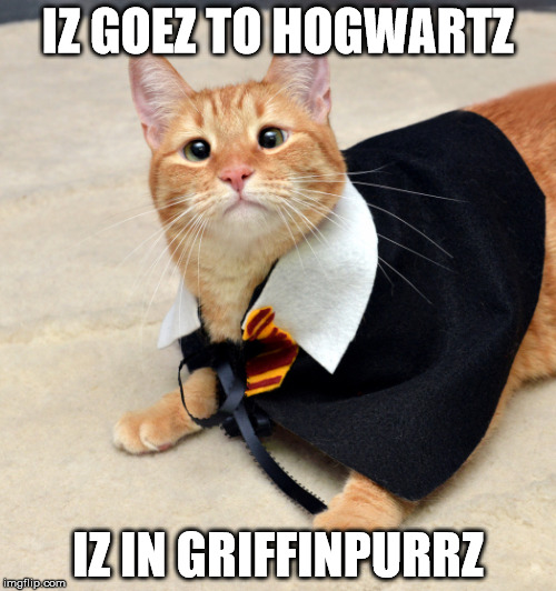 Hogwarts pussy | IZ GOEZ TO HOGWARTZ IZ IN GRIFFINPURRZ | image tagged in harry potter,hogwarts,kitty,cat | made w/ Imgflip meme maker