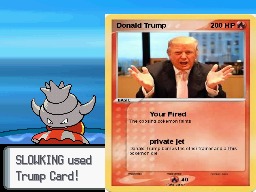 image tagged in donald trump,pokemon | made w/ Imgflip meme maker