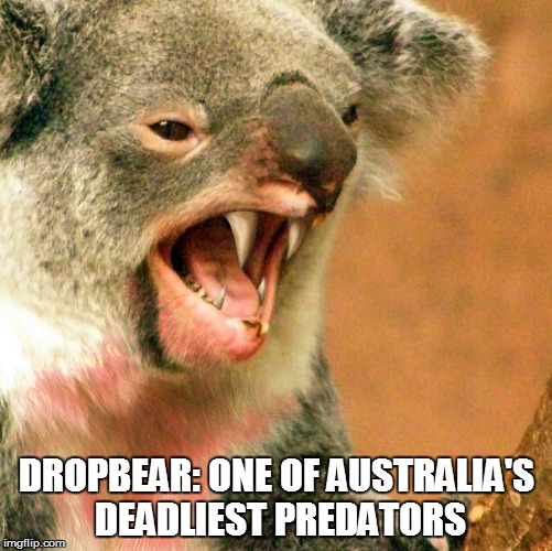 DROPBEAR: ONE OF AUSTRALIA'S DEADLIEST PREDATORS | made w/ Imgflip meme maker