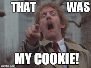 The Cookie Monster | THAT              WAS; MY COOKIE! | image tagged in horror,food,hunger,movies,craving,lust | made w/ Imgflip meme maker