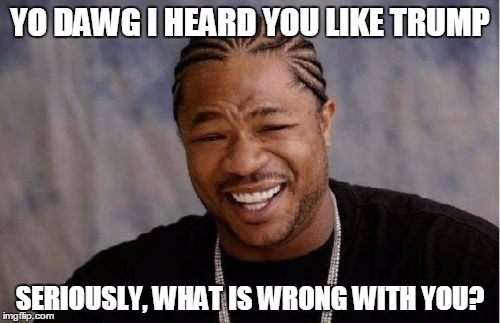 I bet ill get hate for this ( ͡° ͜ʖ ͡°) | YO DAWG I HEARD YOU LIKE TRUMP; SERIOUSLY, WHAT IS WRONG WITH YOU? | image tagged in memes,yo dawg heard you | made w/ Imgflip meme maker