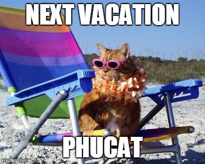 Beach Cat | NEXT VACATION; PHUCAT | image tagged in beach cat | made w/ Imgflip meme maker