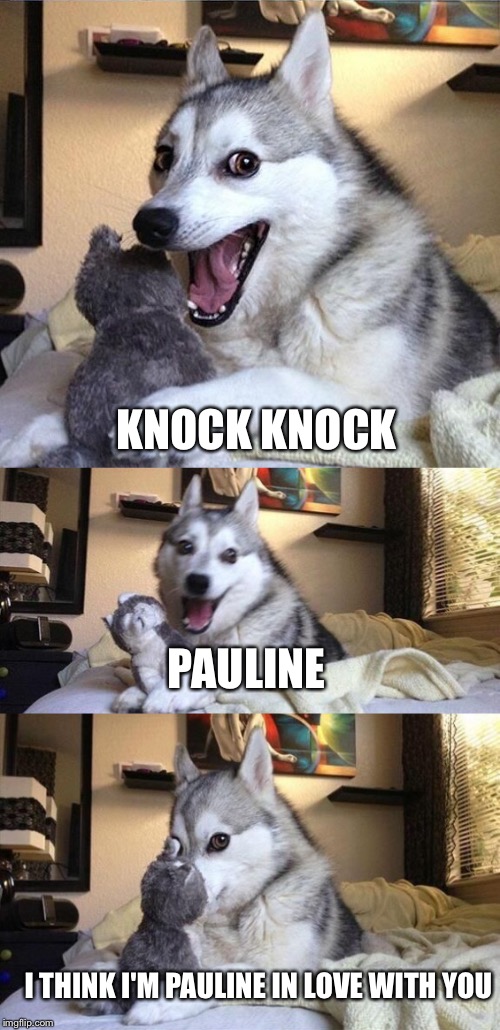 Awwwww joke dog | KNOCK KNOCK; PAULINE; I THINK I'M PAULINE IN LOVE WITH YOU | image tagged in aww,dad joke dog | made w/ Imgflip meme maker