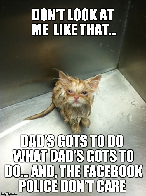 Kill You Cat | DON'T LOOK AT ME  LIKE THAT... DAD'S GOTS TO DO WHAT DAD'S GOTS TO DO... AND, THE FACEBOOK POLICE DON'T CARE | image tagged in memes,kill you cat | made w/ Imgflip meme maker