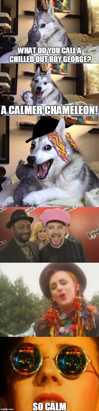 I know it's the wrong meme template, but the look on that dog's face says it all! | WHAT DO YOU CALL A CHILLED OUT BOY GEORGE? A CALMER CHAMELEON! SO CALM | image tagged in memes,funny,bad pun dog,boy george,culture club,karma chameleon | made w/ Imgflip meme maker