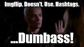For those who use hashtags on imgflip | Imgflip. Doesn't. Use. Hashtags. ...Dumbass! | image tagged in out for a walk bitch,stupid,oops | made w/ Imgflip meme maker