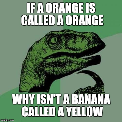 Philosoraptor Meme | IF A ORANGE IS CALLED A ORANGE WHY ISN'T A BANANA CALLED A YELLOW | image tagged in memes,philosoraptor | made w/ Imgflip meme maker