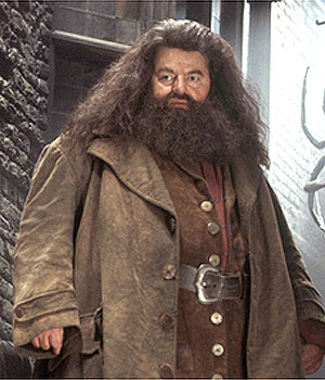 Hagrid Blank Meme Template