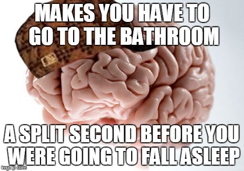 Scumbag Brain Meme | MAKES YOU HAVE TO GO TO THE BATHROOM; A SPLIT SECOND BEFORE YOU WERE GOING TO FALL ASLEEP | image tagged in memes,scumbag brain | made w/ Imgflip meme maker