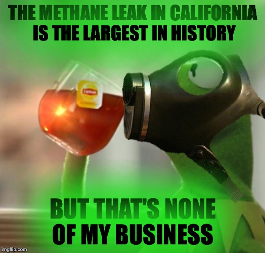 Cough***cough** | THE METHANE LEAK IN CALIFORNIA IS THE LARGEST IN HISTORY; BUT THAT'S NONE OF MY BUSINESS | image tagged in but thats none of my business | made w/ Imgflip meme maker