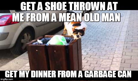 GET A SHOE THROWN AT ME FROM A MEAN OLD MAN GET MY DINNER FROM A GARBAGE CAN | made w/ Imgflip meme maker