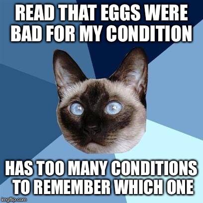 Chronic illness cat | READ THAT EGGS WERE BAD FOR MY CONDITION; HAS TOO MANY CONDITIONS TO REMEMBER WHICH ONE | image tagged in chronic illness cat | made w/ Imgflip meme maker