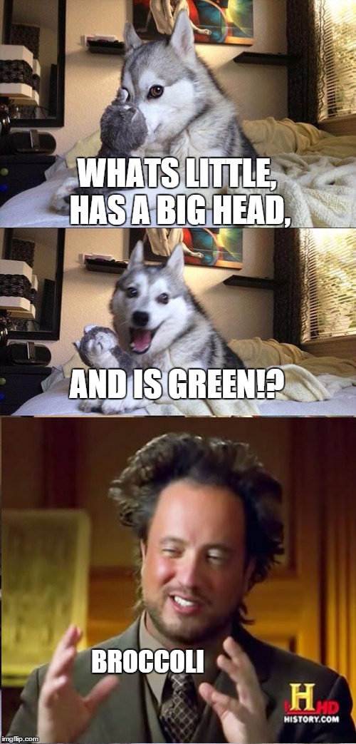 Bad Pun Dog Meme | WHATS LITTLE, HAS A BIG HEAD, AND IS GREEN!? BROCCOLI | image tagged in memes,bad pun dog | made w/ Imgflip meme maker