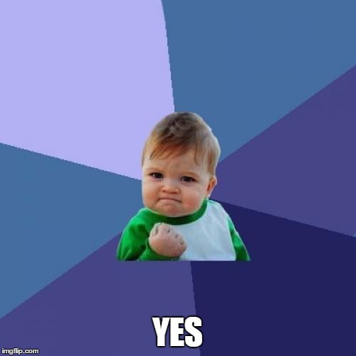 Success Kid Meme | YES | image tagged in memes,success kid | made w/ Imgflip meme maker