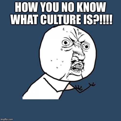 Y U No | HOW YOU NO KNOW WHAT CULTURE IS?!!!! | image tagged in memes,y u no | made w/ Imgflip meme maker