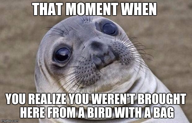 Awkward Moment Sealion Meme | THAT MOMENT WHEN; YOU REALIZE YOU WEREN'T BROUGHT HERE FROM A BIRD WITH A BAG | image tagged in memes,awkward moment sealion | made w/ Imgflip meme maker