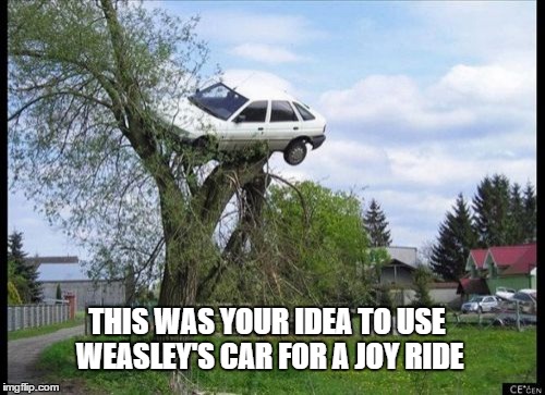 Secure Parking Meme | THIS WAS YOUR IDEA TO USE WEASLEY'S CAR FOR A JOY RIDE | image tagged in memes,secure parking | made w/ Imgflip meme maker