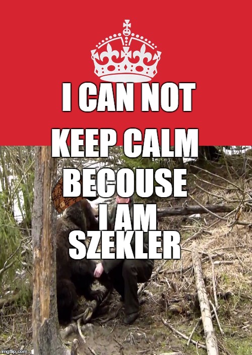 SZEKLER | KEEP CALM; I CAN NOT; BECOUSE I AM; SZEKLER | image tagged in bear,hungarian,transylvania | made w/ Imgflip meme maker