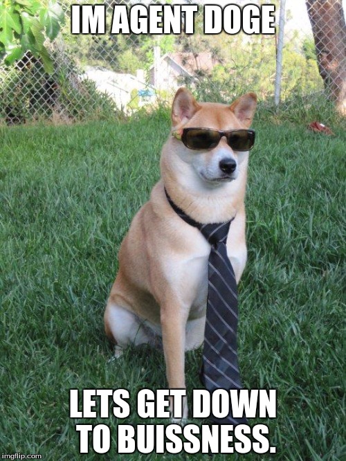 Business doge | IM AGENT DOGE; LETS GET DOWN TO BUISSNESS. | image tagged in business doge | made w/ Imgflip meme maker