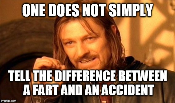 One Does Not Simply Meme | ONE DOES NOT SIMPLY TELL THE DIFFERENCE BETWEEN A FART AND AN ACCIDENT | image tagged in memes,one does not simply | made w/ Imgflip meme maker