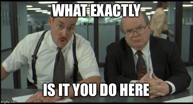 Office Space Bobs | WHAT EXACTLY; IS IT YOU DO HERE | image tagged in office space bobs | made w/ Imgflip meme maker