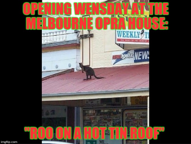 OPENING WENSDAY AT THE MELBOURNE OPRA HOUSE:; "ROO ON A HOT TIN ROOF" | image tagged in humor | made w/ Imgflip meme maker