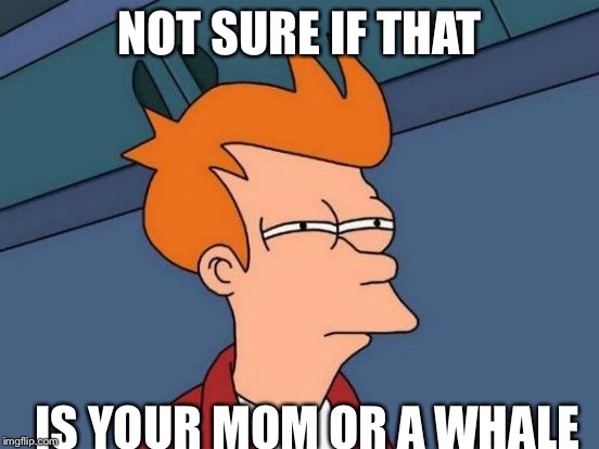 Futurama Fry Meme | NOT SURE IF THAT; IS YOUR MOM OR A WHALE | image tagged in memes,futurama fry | made w/ Imgflip meme maker