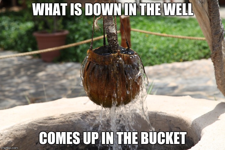 WHAT IS DOWN IN THE WELL; COMES UP IN THE BUCKET | image tagged in wellwater | made w/ Imgflip meme maker