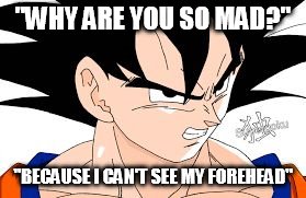 "WHY ARE YOU SO MAD?"; "BECAUSE I CAN'T SEE MY FOREHEAD" | image tagged in goku | made w/ Imgflip meme maker