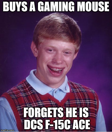 Bad Luck Brian Meme | BUYS A GAMING MOUSE FORGETS HE IS DCS F-15C ACE | image tagged in memes,bad luck brian | made w/ Imgflip meme maker