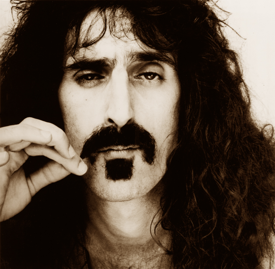 Frank Zappa Blank Meme Template