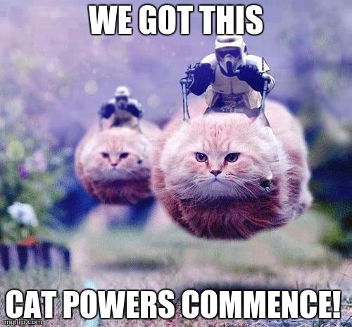 Storm Trooper Cats | WE GOT THIS; CAT POWERS COMMENCE! | image tagged in storm trooper cats | made w/ Imgflip meme maker