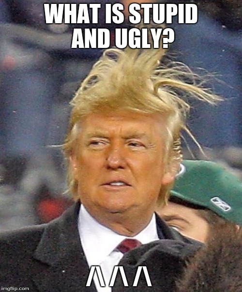 Donald Trumph hair | WHAT IS STUPID AND UGLY? /\ /\ /\ | image tagged in donald trumph hair | made w/ Imgflip meme maker