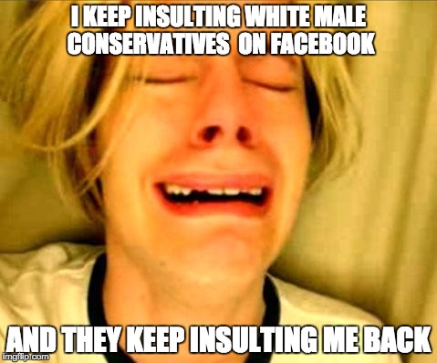Blowback | I KEEP INSULTING WHITE MALE CONSERVATIVES  ON FACEBOOK; AND THEY KEEP INSULTING ME BACK | image tagged in leave britney,white,male,conservatives,insult,feminists | made w/ Imgflip meme maker