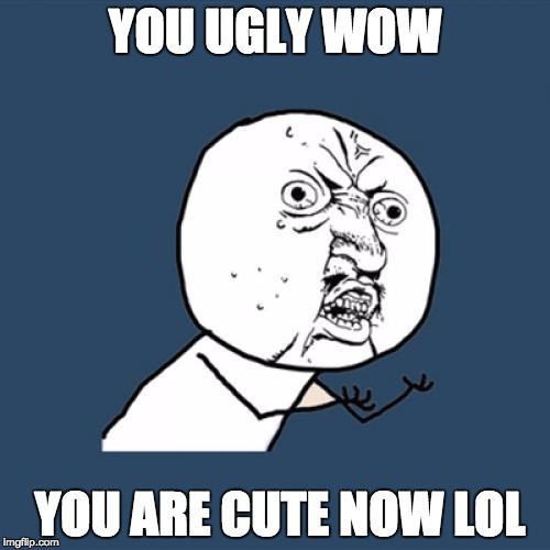 Y U No | YOU UGLY WOW; YOU ARE CUTE NOW LOL | image tagged in memes,y u no | made w/ Imgflip meme maker