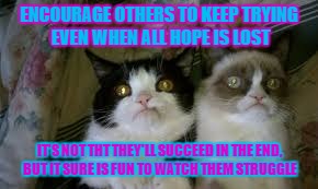 HOPE IS LOST | ENCOURAGE OTHERS TO KEEP TRYING EVEN WHEN ALL HOPE IS LOST; IT'S NOT THT THEY'LL SUCCEED IN THE END, BUT IT SURE IS FUN TO WATCH THEM STRUGGLE | image tagged in grumpy cat,cats | made w/ Imgflip meme maker