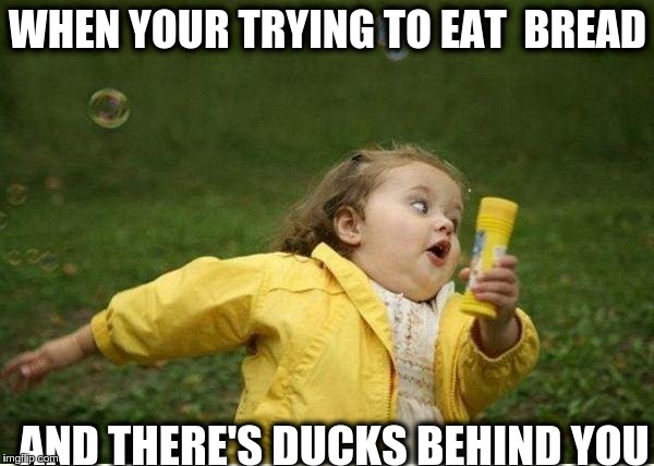 Chubby Bubbles Girl Meme | WHEN YOUR TRYING TO EAT  BREAD; AND THERE'S DUCKS BEHIND YOU | image tagged in memes,chubby bubbles girl | made w/ Imgflip meme maker